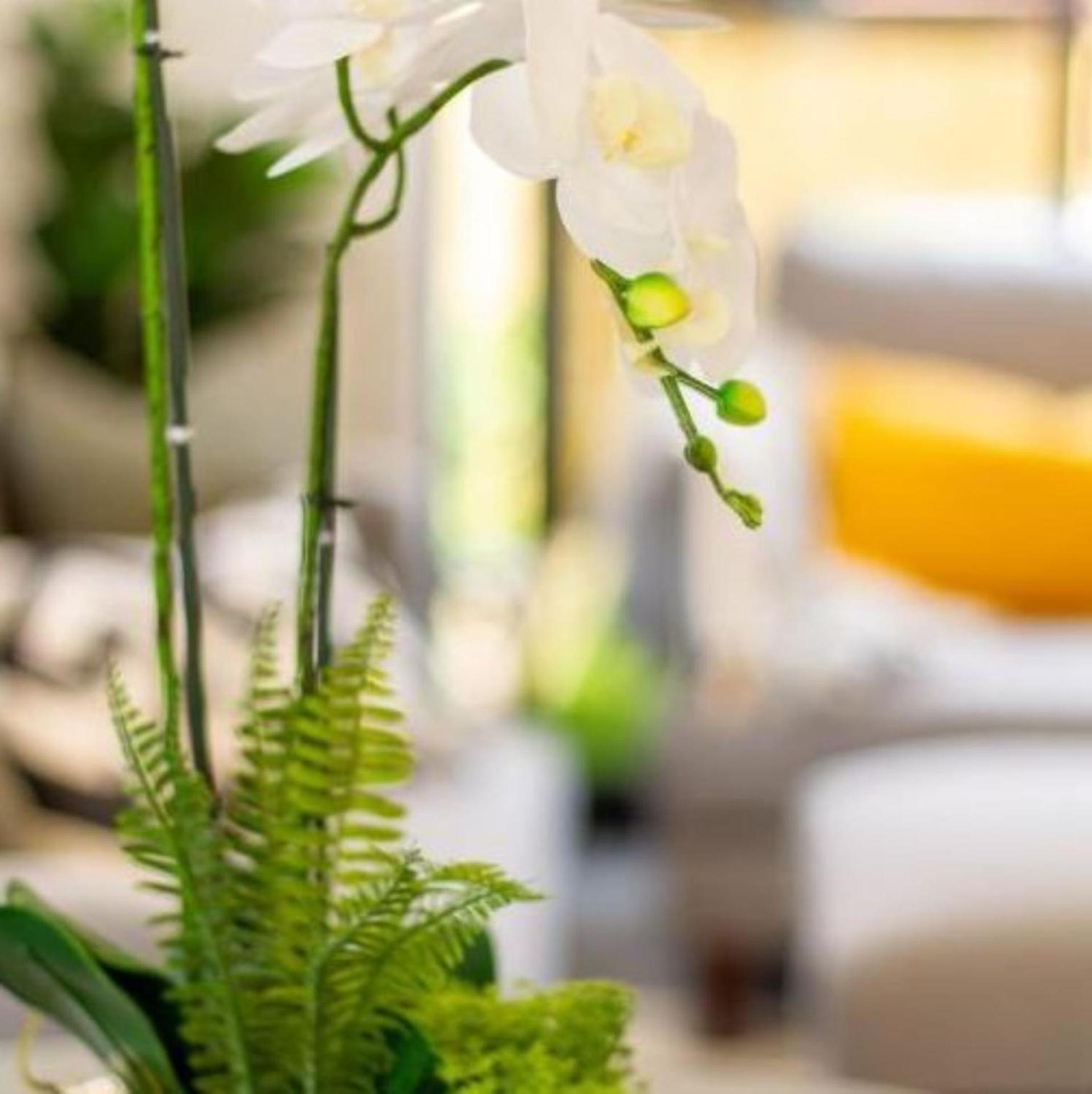 New Sophisticated City Pad Appartement Christchurch Buitenkant foto